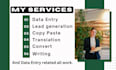 do data entry, lead generation, writing and translation job