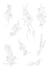 create a fine line flower tattoo