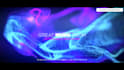 create unique particles titles animation video