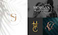 make a luxury signature and line art logo