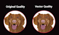 vector tracing, logo, and image in a vector file high resolution