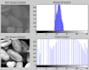 create develop pytorch based deep learning models