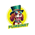 design professional modern mascot animal logo design