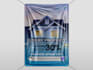 design a high quality real estate flyer and posters