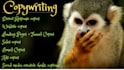 do direct response sales copy, ad copy, email and website copywriting