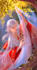 create anime character designs, fanarts, anime