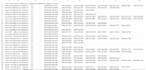 split data from single excel cell into multiple columns