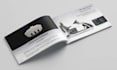 design your brochure or flyer for your company