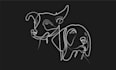 draw professional minimal line art vector illustration