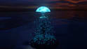abstract 3d sunrises animation