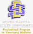 do embroidery digitizing designs in dst in 1 hour