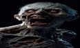 create ai music video animation for your music