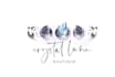 draw moon logo design