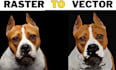 do professional manual vector tracing or recreate logo in 2 hours