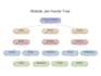 be your canva pro expert and make your family tree