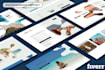 be wordpress developer for business website and blog