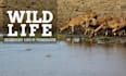 do documentary video editing articles to video editing for youtube