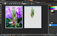 do photoediting and will remove backgroud on your demand