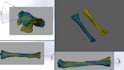 do 3d model from mri, xray, ct scan and electron microscope images
