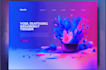 develop a lead capture landing page