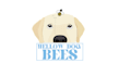 local year old beekeeper seeks honey label logo