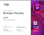 mentor you for cybersecurity ceh, oscp, ejpt, network pentesting etc