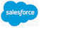 do any java or salesforce development work