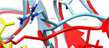do MD simulations and post simulation analyses