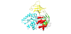 do molecular docking and protein structure prediction