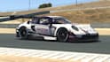 design livery skin for iracing  lemans ultimate and assetto corsa