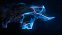 create high quality 3d logo reveal intro for youtube