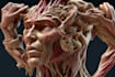 create perfect 3d medical animation and 3d modeling