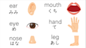 japanese for beginners on zoom with english support