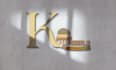 design your 3d logo and graphics