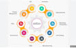 provide you odoo support