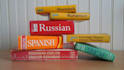 do translation in  many international languages skilled fully