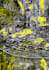 design professional and unique textile and fabric print seam less pattern