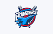 modern dominate field logo