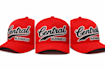 embroidery digitizing, 3d puff, flat, convert to pes, dst, in 1h