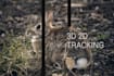 elevate your projects with expert visual effects