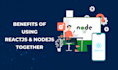 develop custom web applications using react and node js