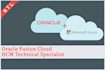 do oracle hcm fusion technical and functional related works