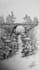 do detailed landscape art, building, house