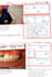 manage your channel and  video SEO section