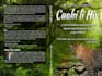 resize and format your book cover for KDP, ingramspark and all platforms