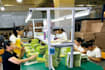 provide warehousing and logistics services in china