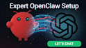develop ai chatbot whatsapp automation ai website ai app open claw bot setup