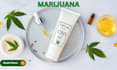 write SEO optimized articles cannabis weed marijuana health