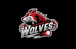 wonderful wolves baseball team logo