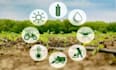 write agricultural content, research, and summaries